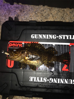 癒しのライトゲーム