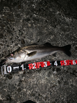 ライトタックルで。