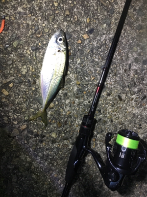 アジングゲーム入魂