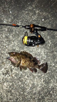 良型が入れ食い!!