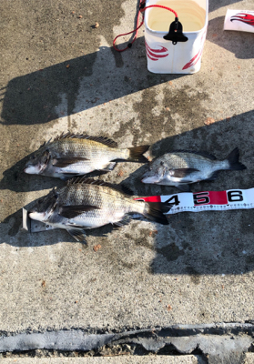 曇り時々晴れ一時雨あられ、雹