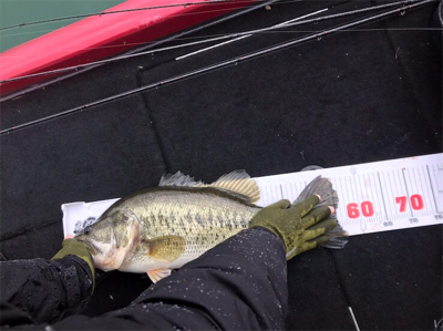 アラバマパターン！