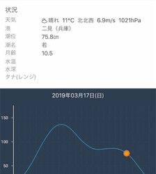 エステルジグ単ゲーム