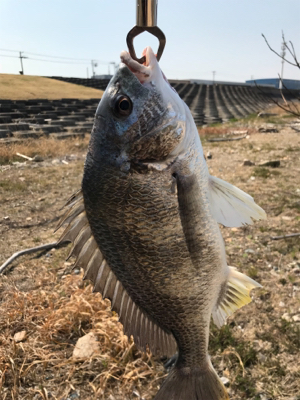 今日も難しかった