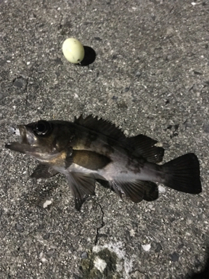 フロートメバリング