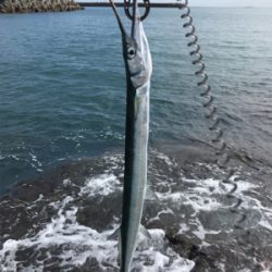 暖かくなってきた朝マズメ