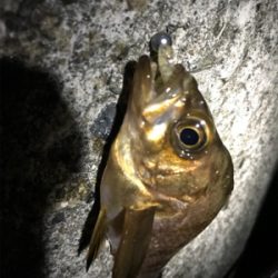 ド干潮の末に！