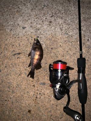 あきませんでした