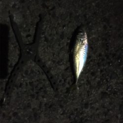 最近良さげなアジング