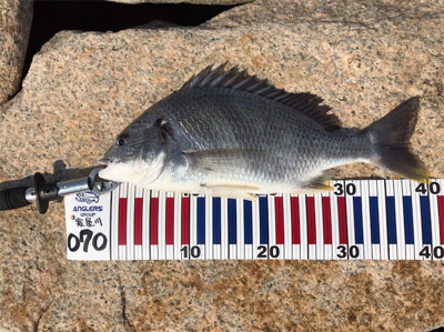 赤出汁状態の淀川からの一本