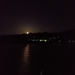 早朝メバリング