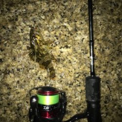 小雨の中、ガシリング(^^)