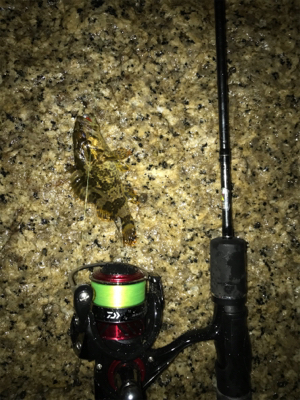 小雨の中、ガシリング(^^)