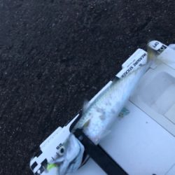 爆風の中のレイニー鯖ゲー