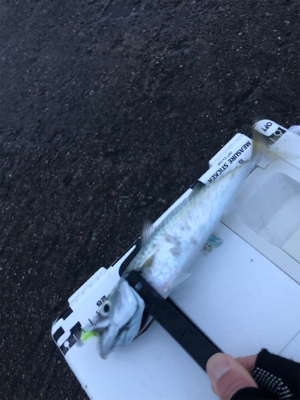 爆風の中のレイニー鯖ゲー