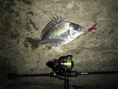 ズル引きチニング