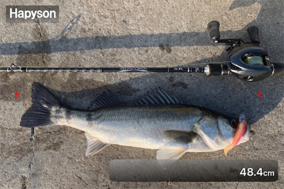 ディアルーナXR B806 入魂♫