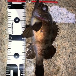 楽しめました(^^)