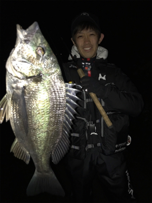 のっこみチニング