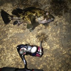 諦めなければ救われる(^^)