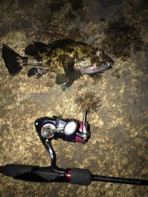 諦めなければ救われる(^^)