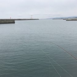 投げ釣り&稚鮎釣り