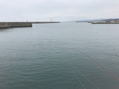 投げ釣り&稚鮎釣り