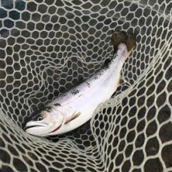 鬼怒川フィシング