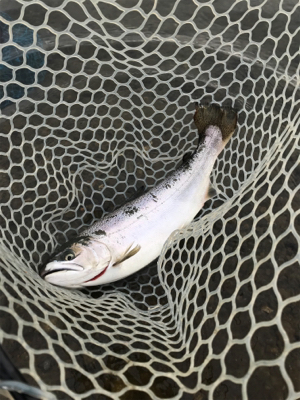 鬼怒川フィシング