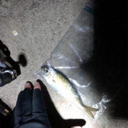 渋すぎる。大寒波