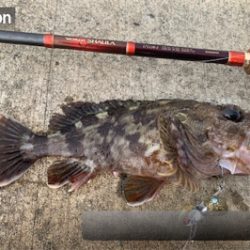 VJにナイスガシラ&シーバス二本