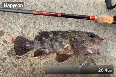 VJにナイスガシラ&シーバス二本