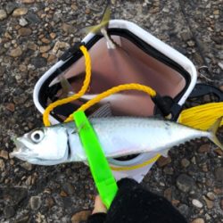 サバサバサバサバサバゲー