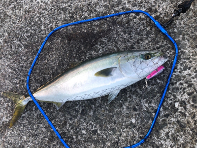 初めての宇佐一文字で…最高でした