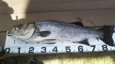 自己記録更新！！