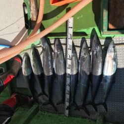 孝洋丸 トローリング