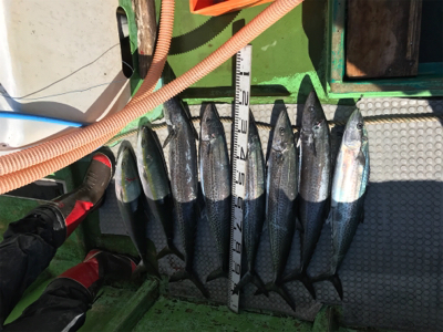 孝洋丸 トローリング