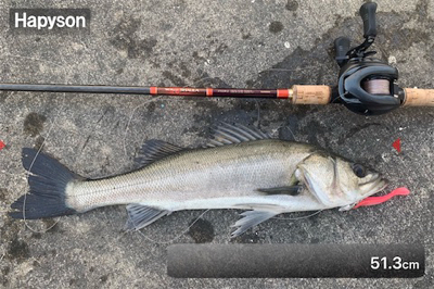 シーバス!船際リベンジ!