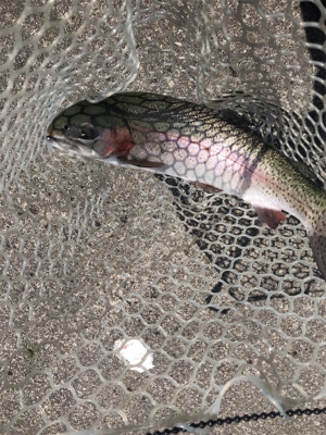 総合運動場栃木フィシングフィールド