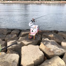 これから本調子??