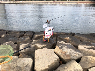 これから本調子??