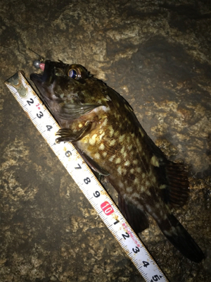 安定のガシリング(^^)