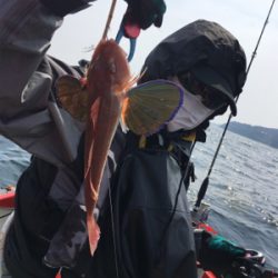 マイボートでタイラバ釣行