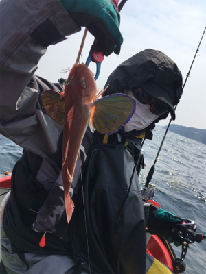 マイボートでタイラバ釣行