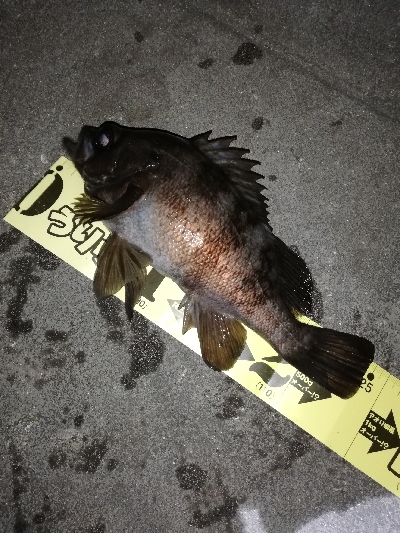 ライズ撃ち３連発