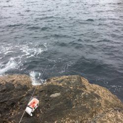 今季最終グレ釣り