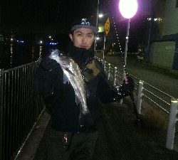 マイクロベイトパターン