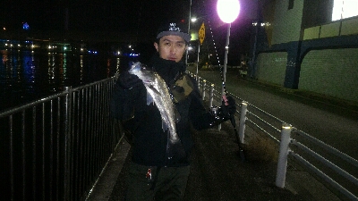 マイクロベイトパターン