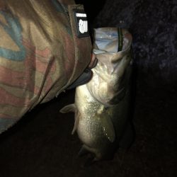 今シーズン初バス