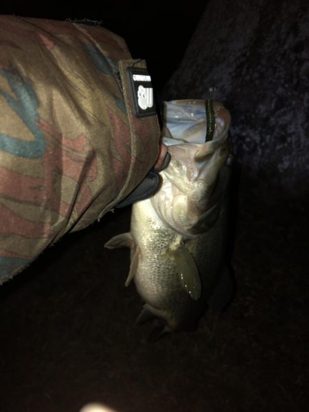 今シーズン初バス